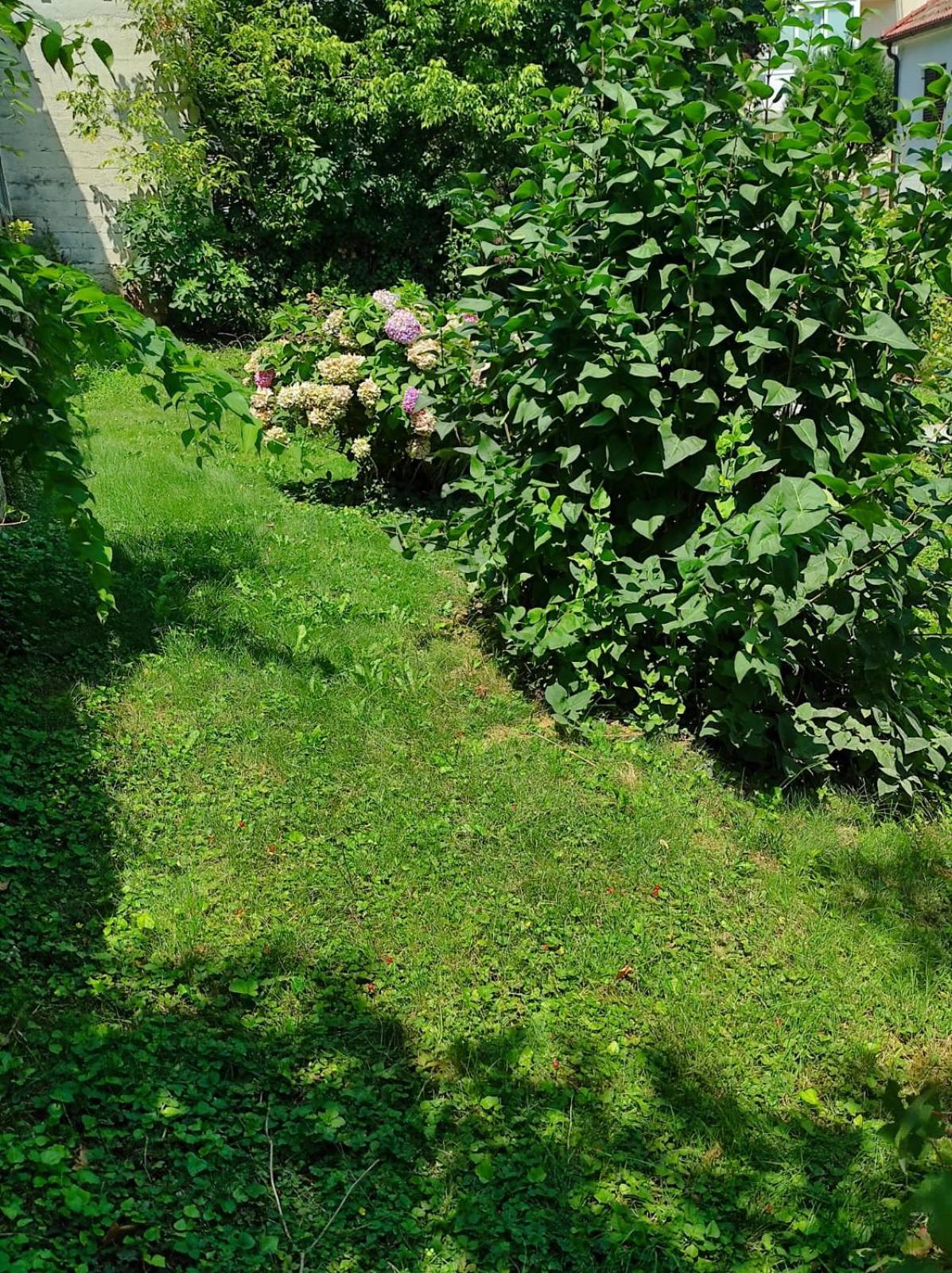 Apartman Zagreb,Rebro,Maksimir,Centar Marko Εξωτερικό φωτογραφία