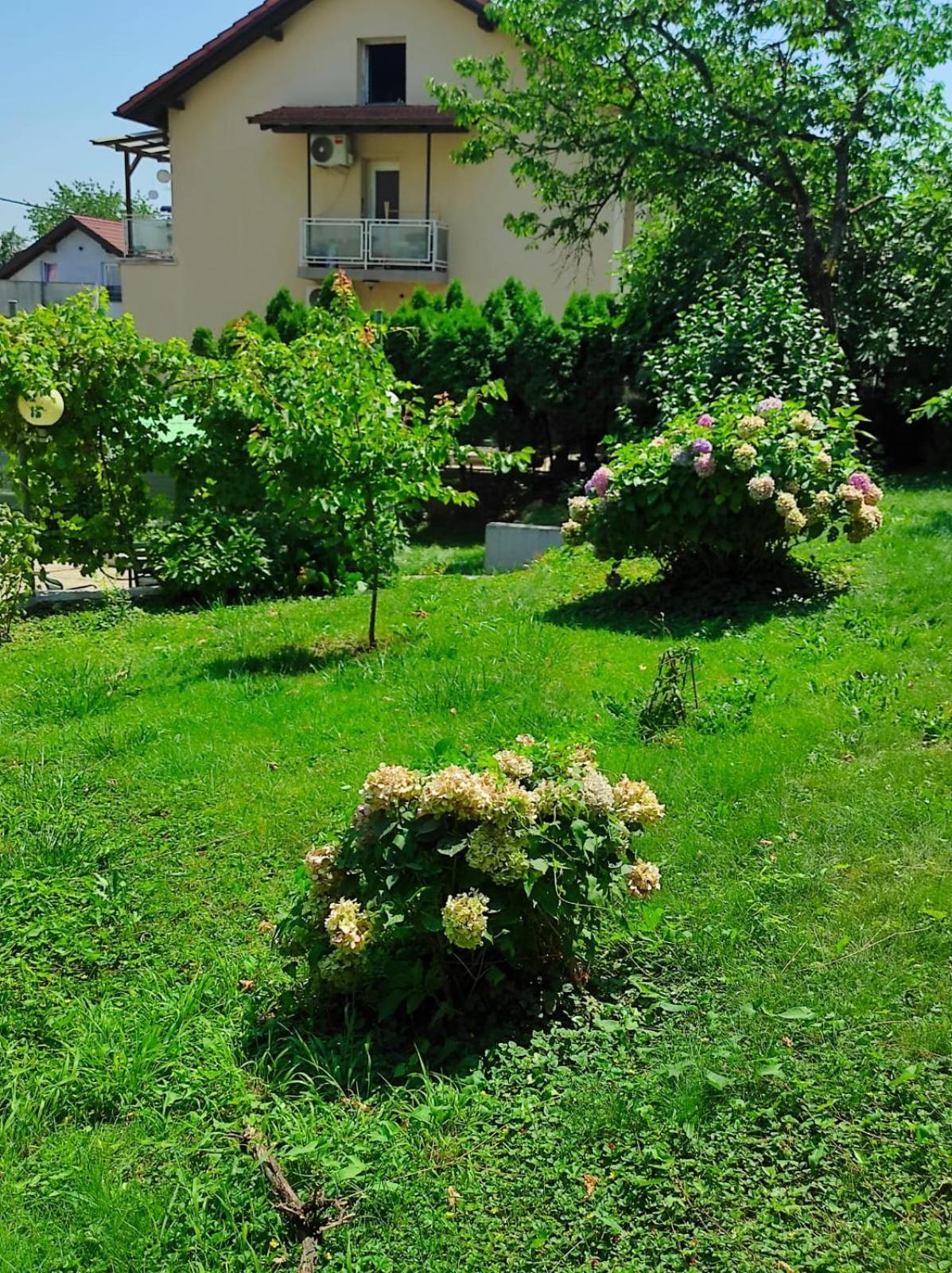 Apartman Zagreb,Rebro,Maksimir,Centar Marko Εξωτερικό φωτογραφία